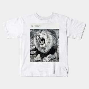 Big Meow Kids T-Shirt